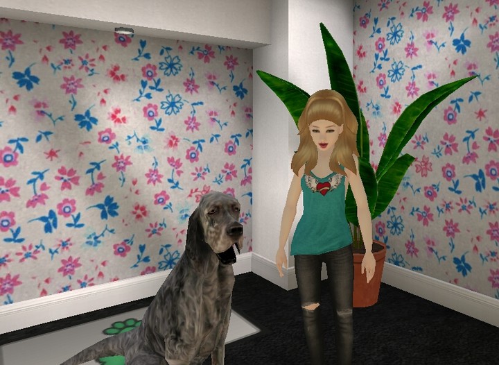 Avakin Life