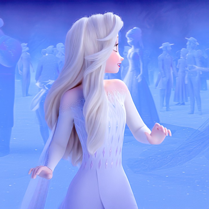 ELSA ◇•°