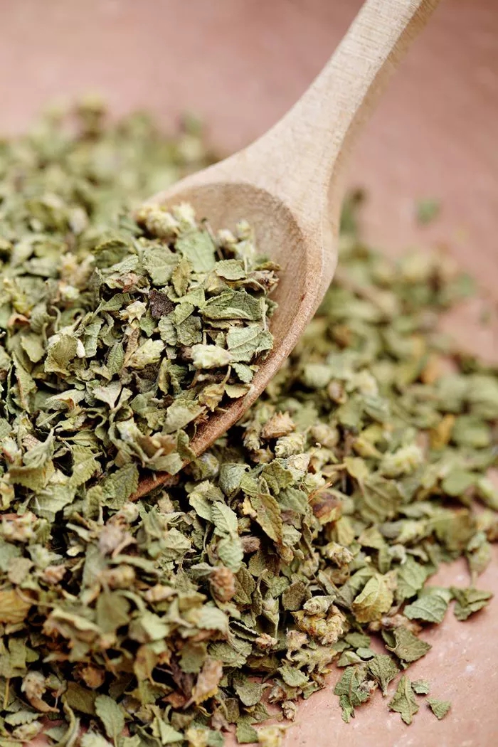 Oregano