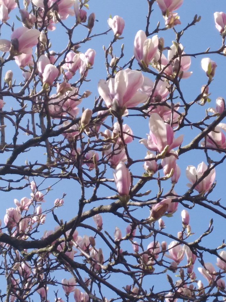Frühling
