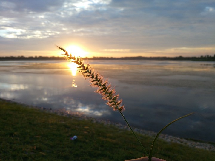 Nature's Beauty