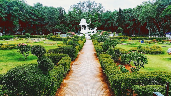 Garden