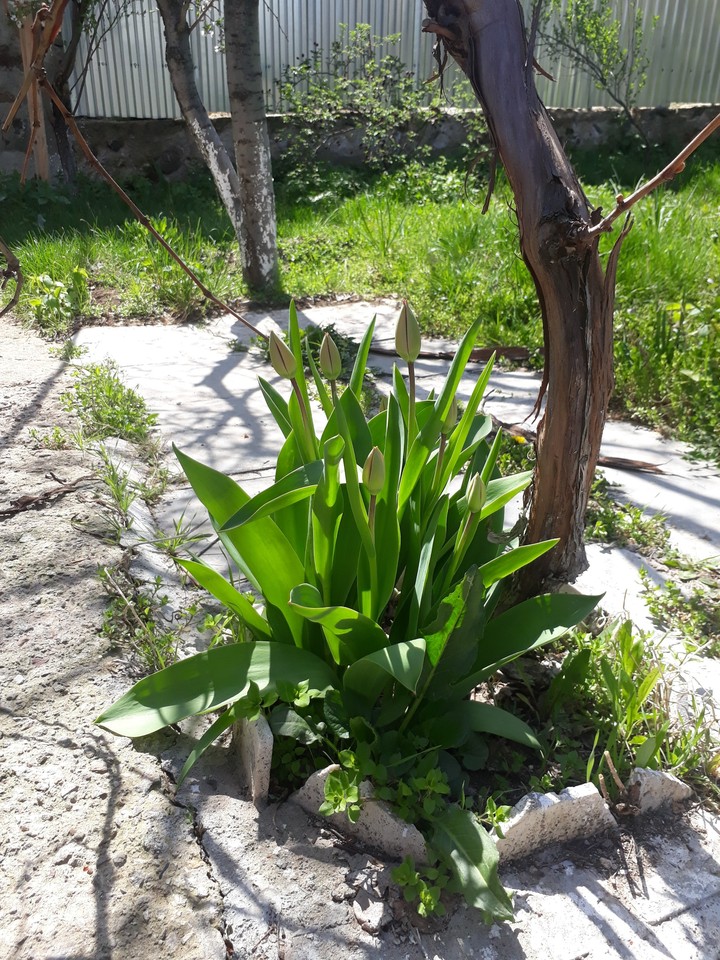 Spring is in the air