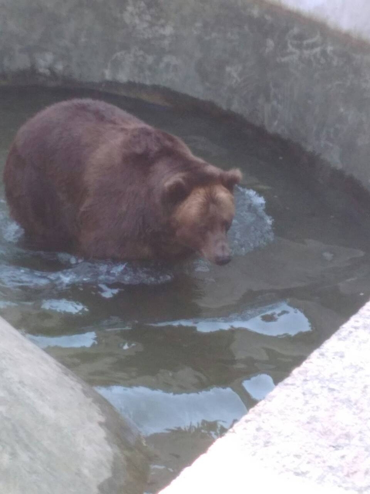Миша я здесь.