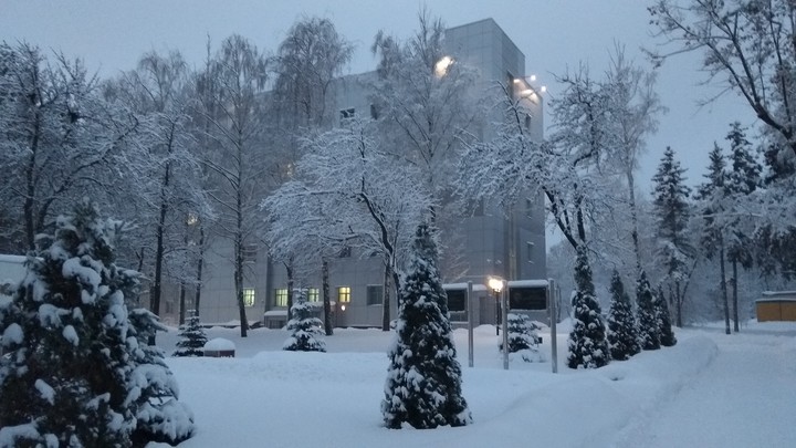 Дорога на работу