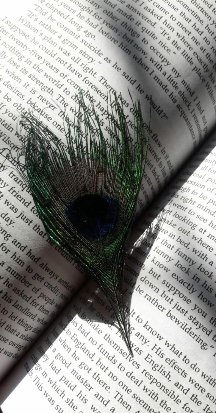 page of love