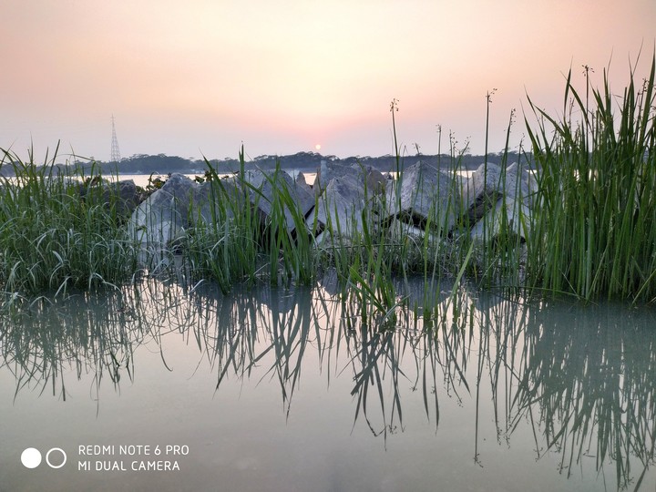 Water nature