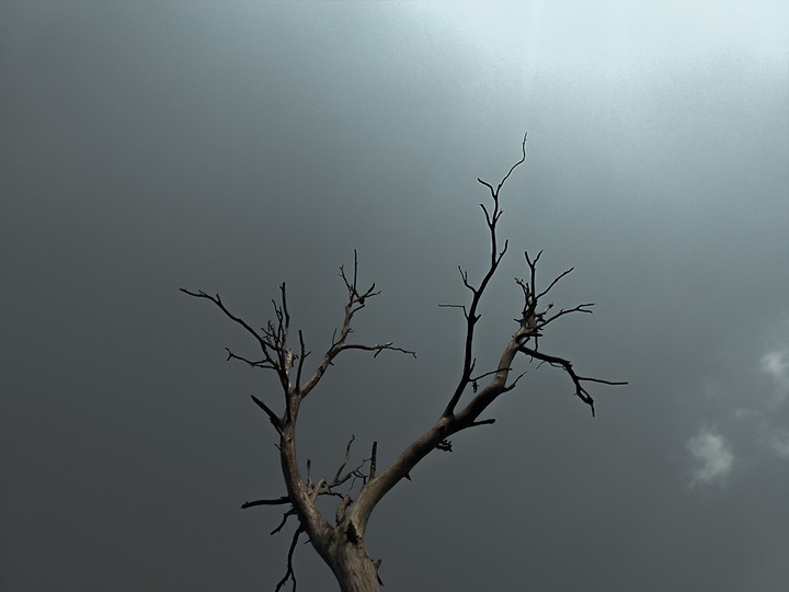 Death is the only gift of everything...