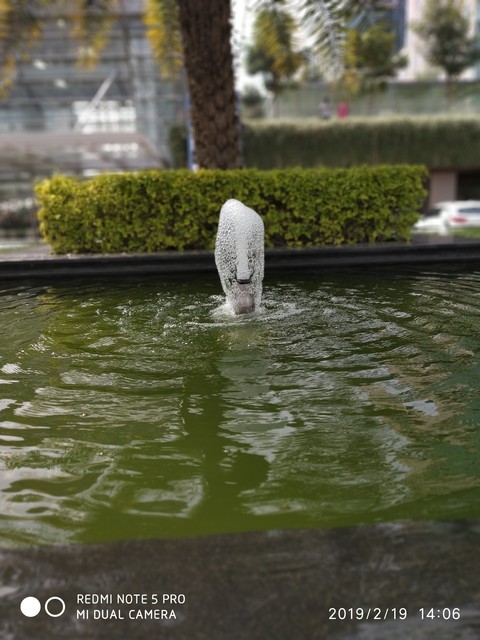 Water