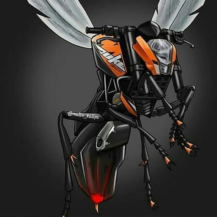 ktm duke bike