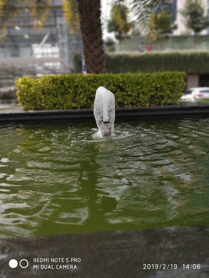 Water