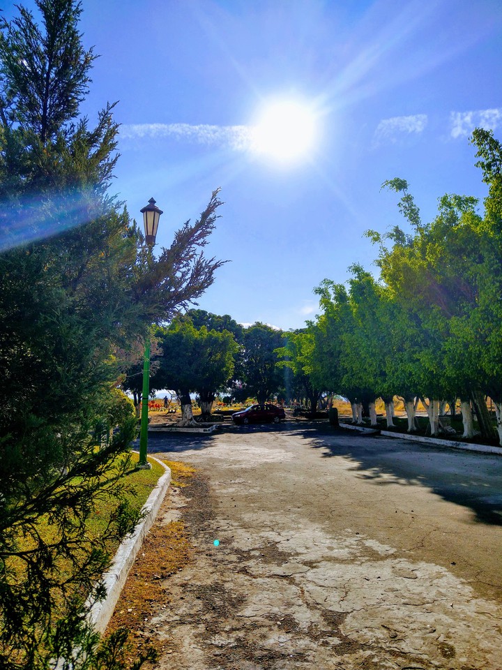 Camino hacia el sol.