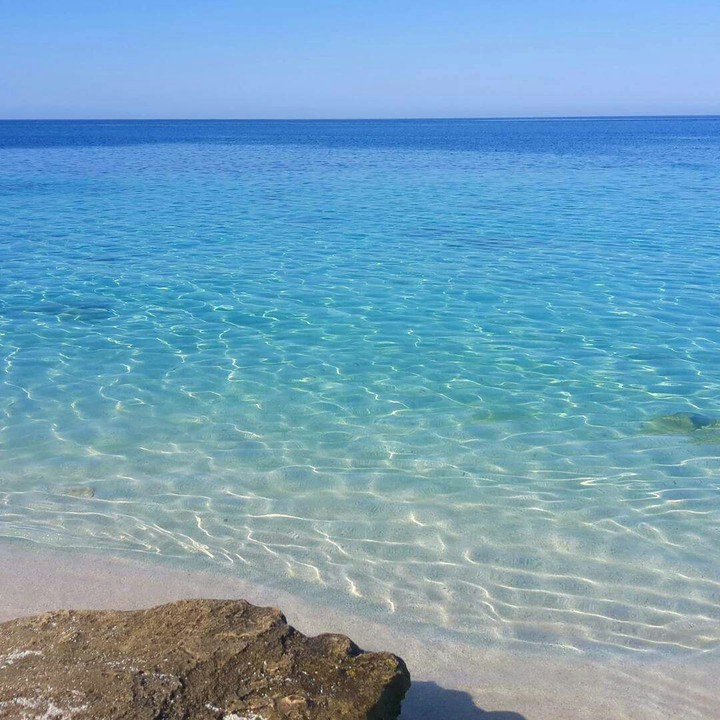 mare