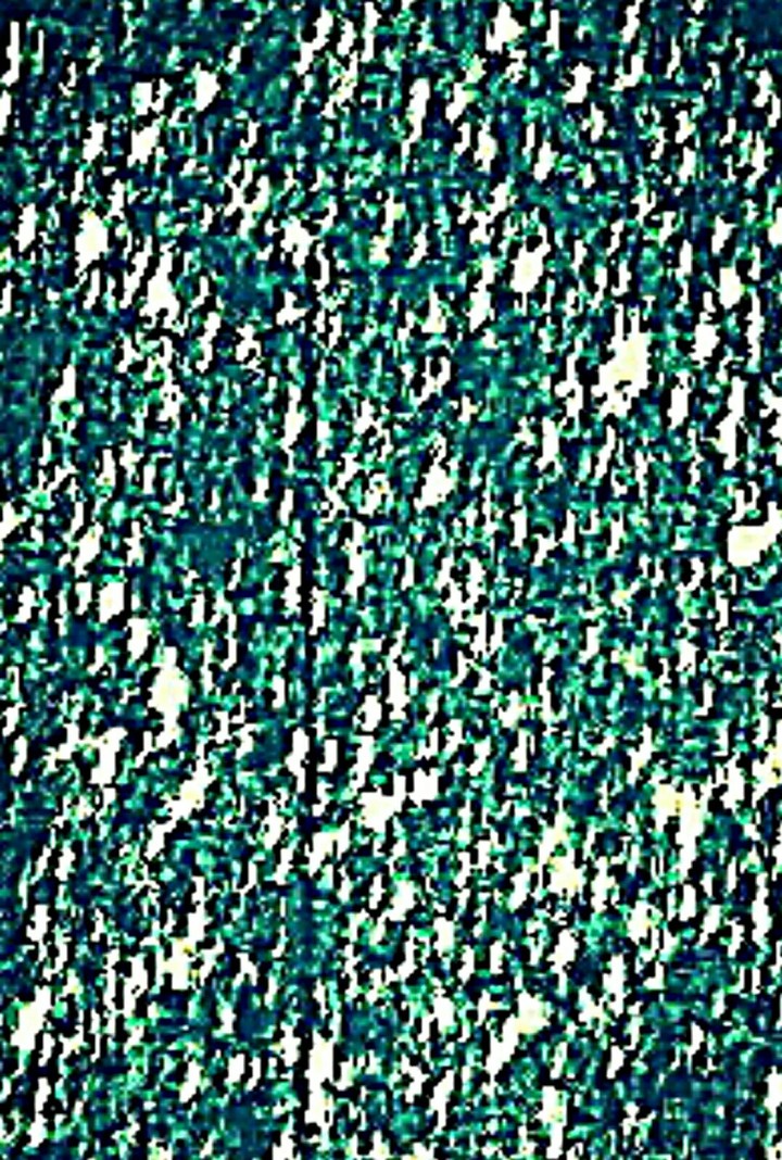GRECEM  TEXTURE