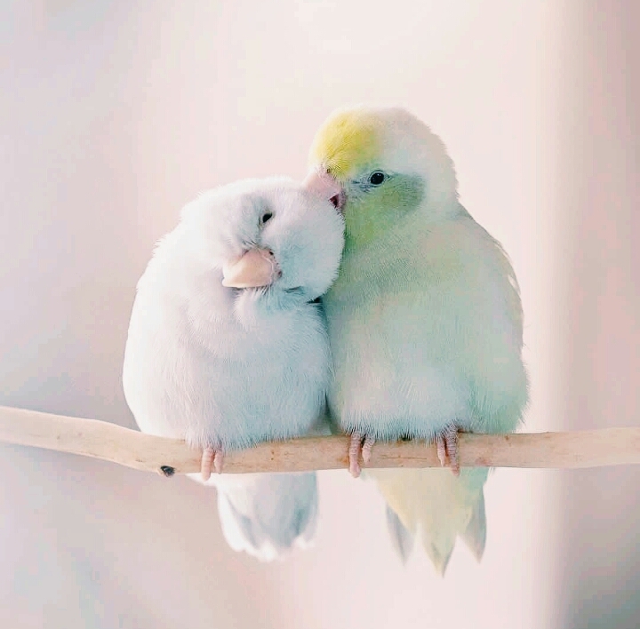 Loving and being loved is what matters most.