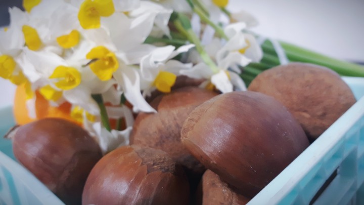 chestnuts
