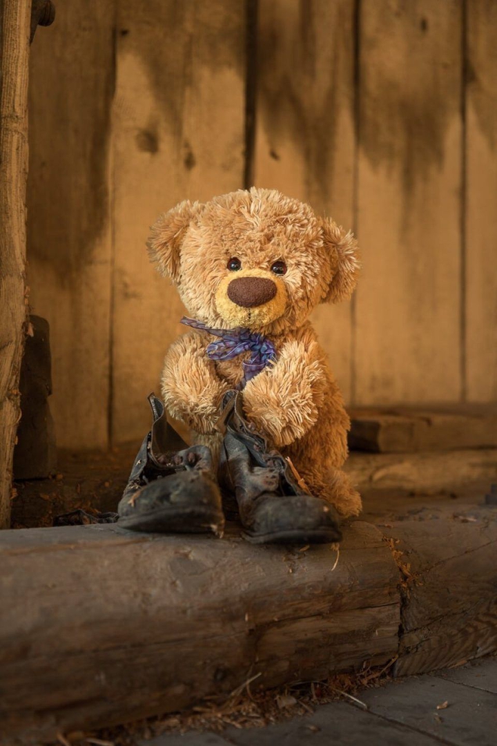 teddy
