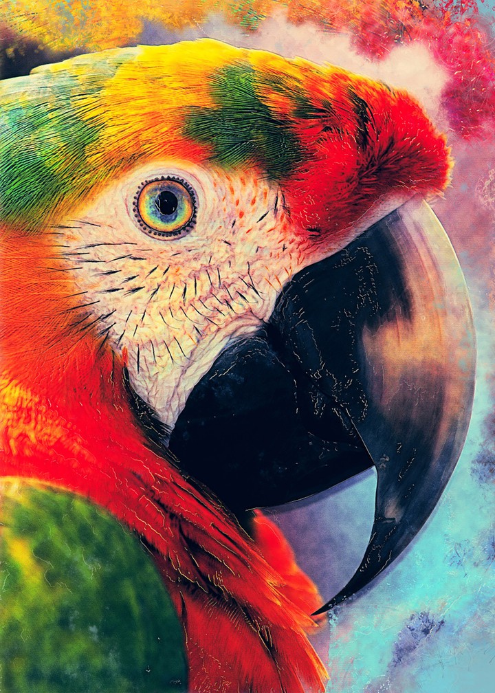 parrot