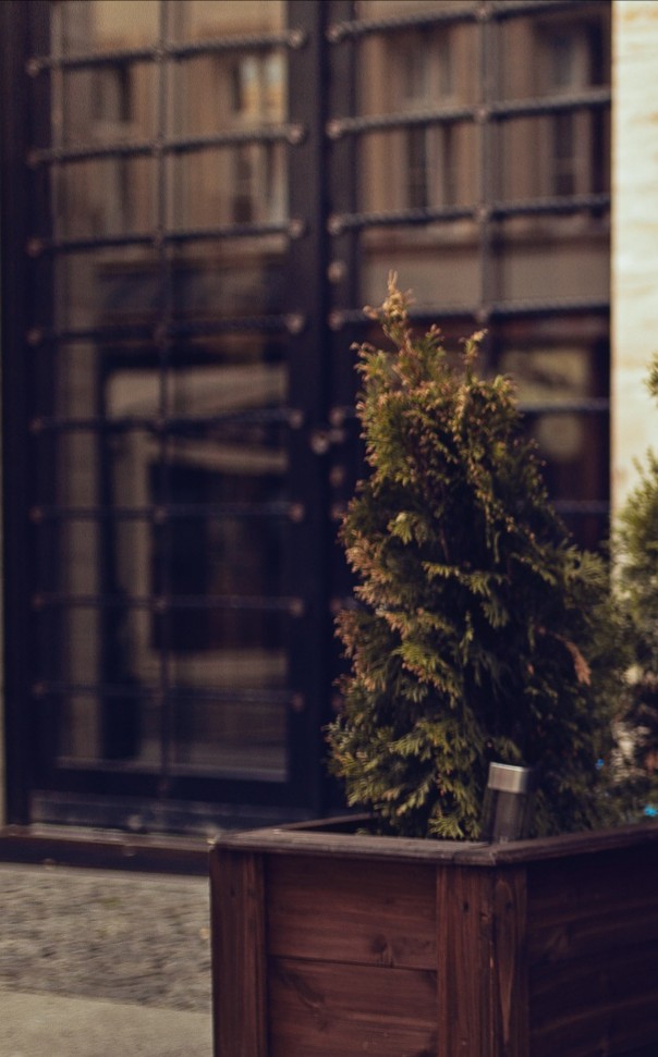 500px