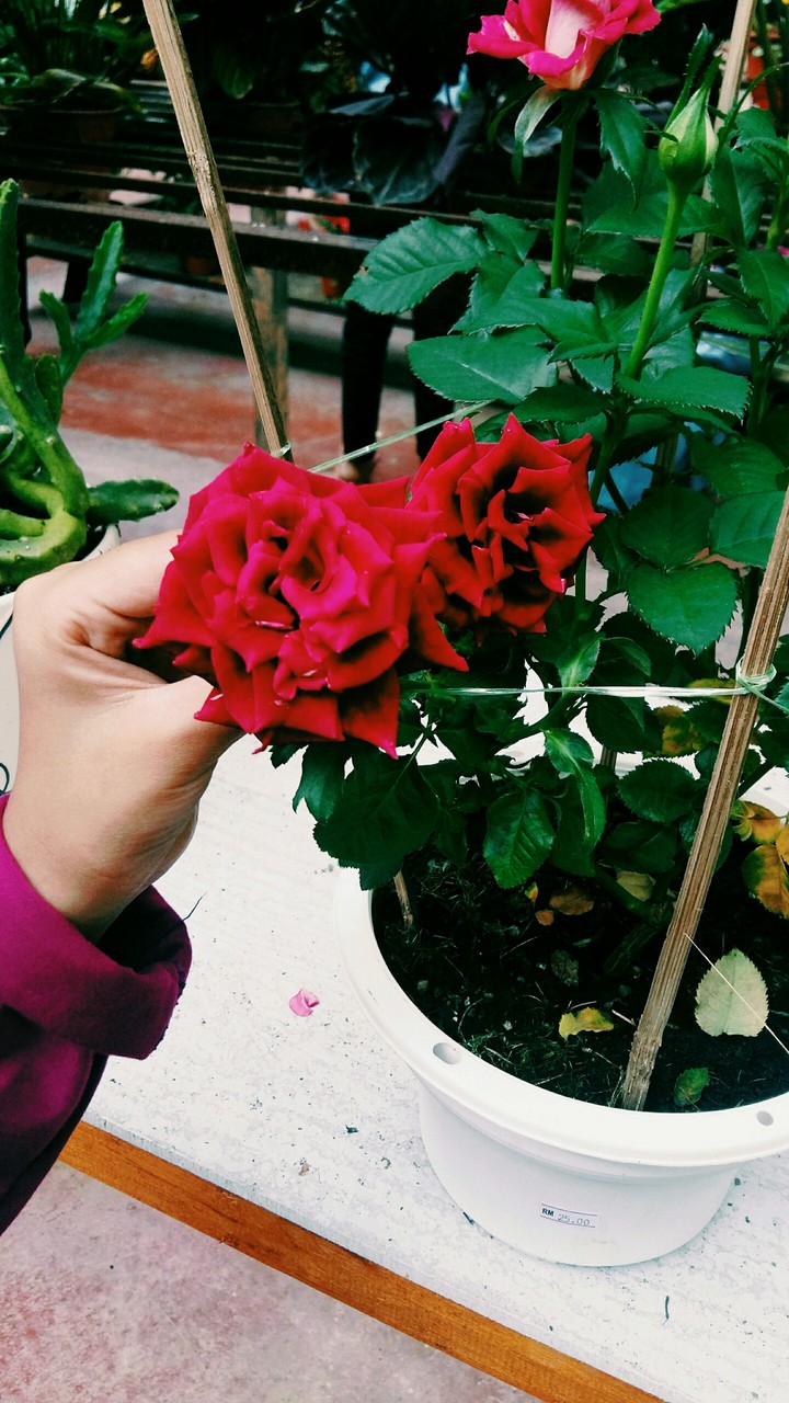 Taken by me! ......