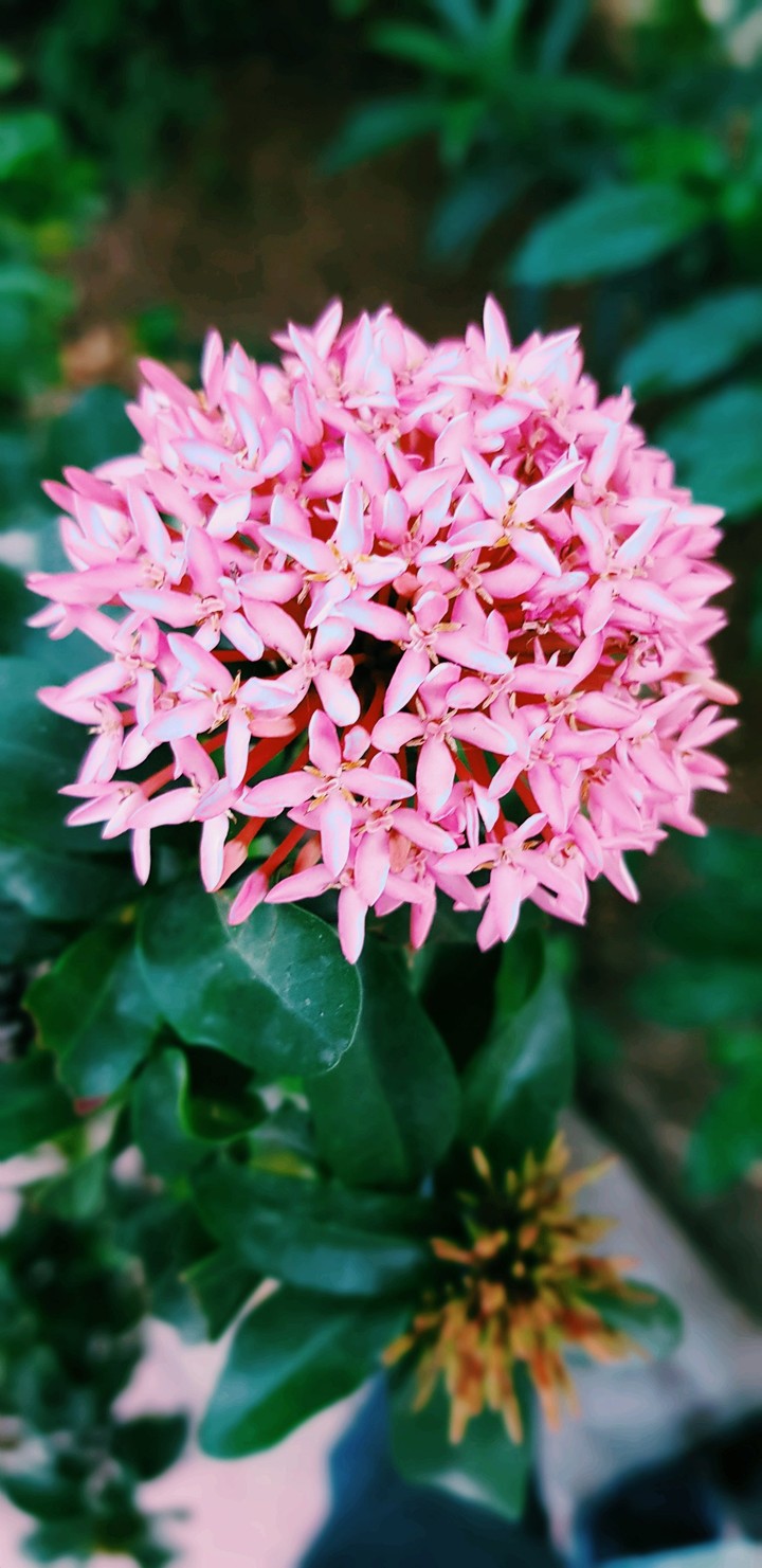 Nature