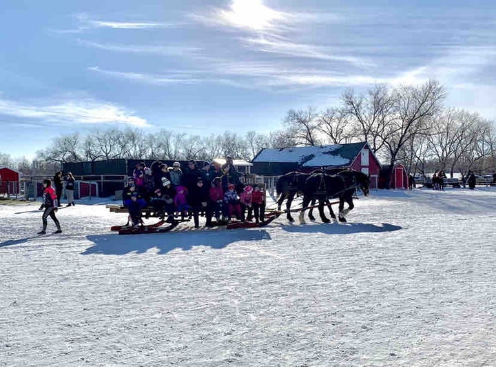 Winter fun❄️