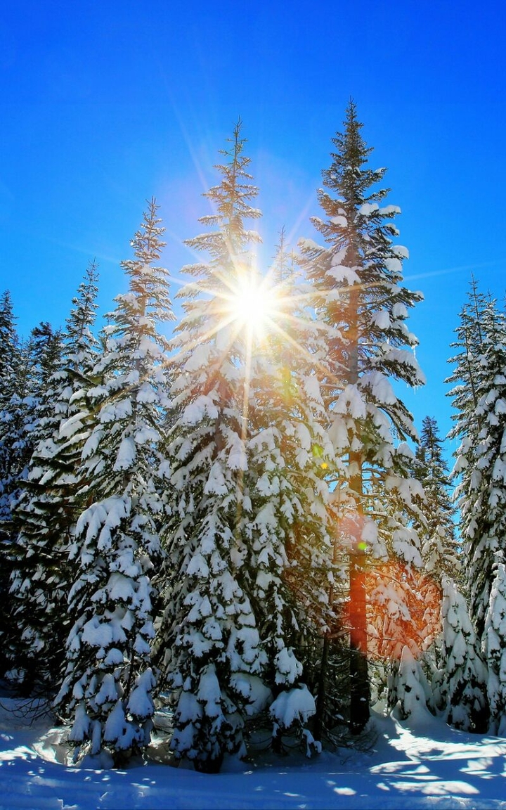 winter