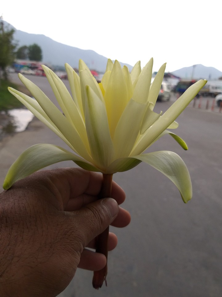 Dal lake Kashmir