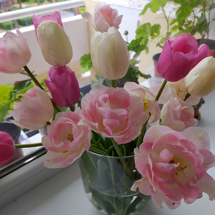 bunch of flowers