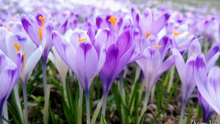 Wonders of simply being Mother nature