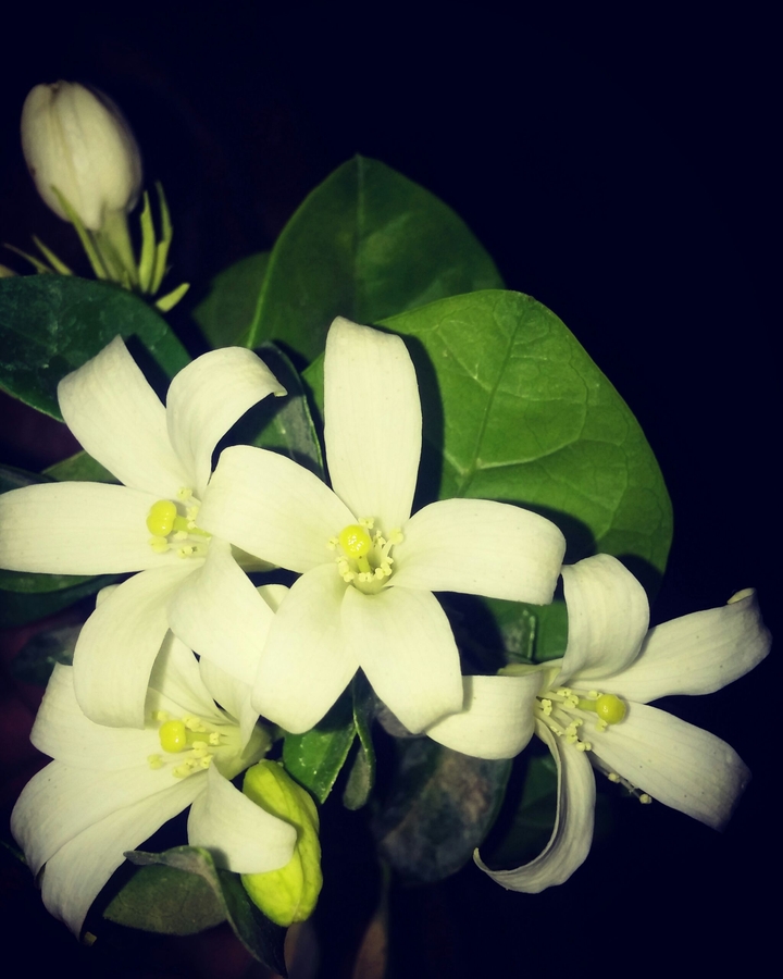from my mother❤❤...