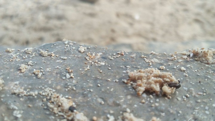 Sandy Staircase