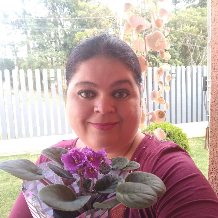 lindas violetas ganhei hoje  Dia das mães só meu filho.