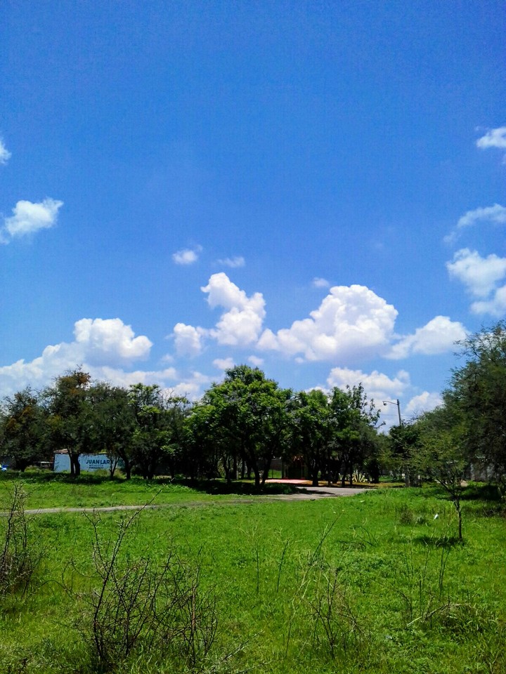 in the countryside...