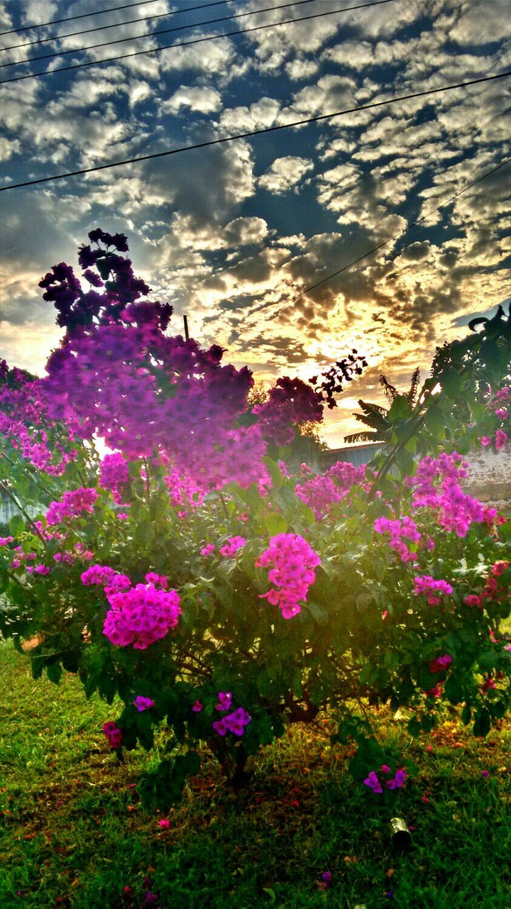 Natureza