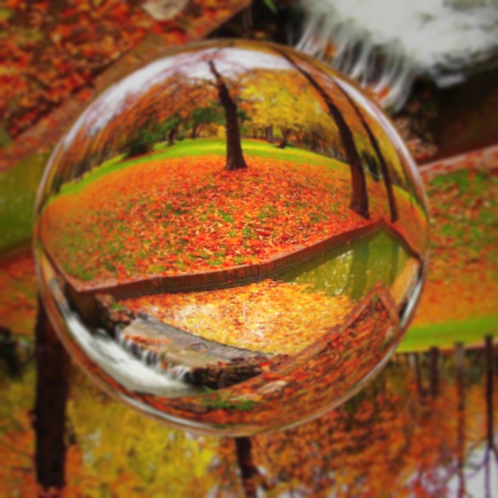 Herbst ❤️