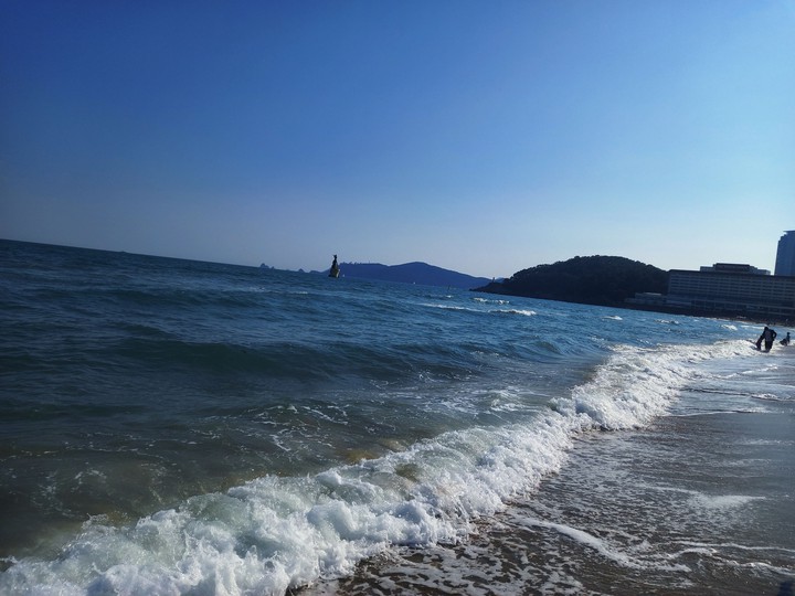 surf