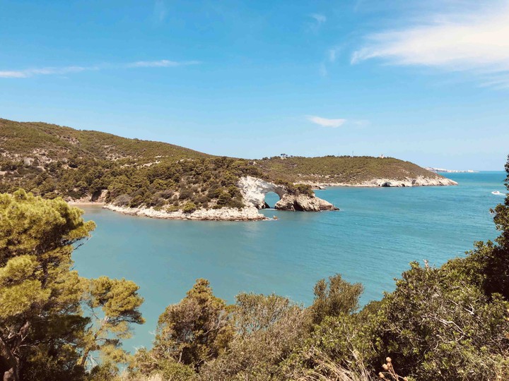vieste