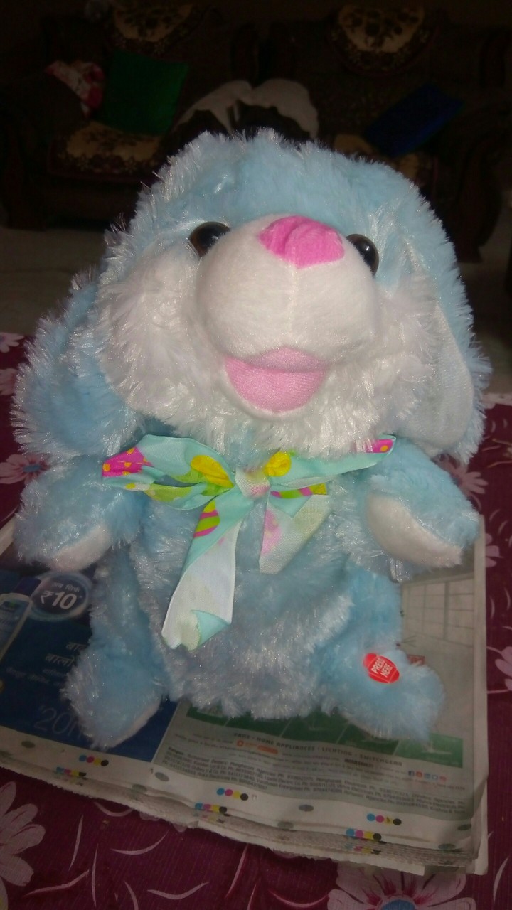 soft toy