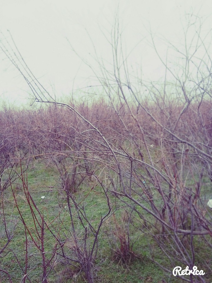 kur river