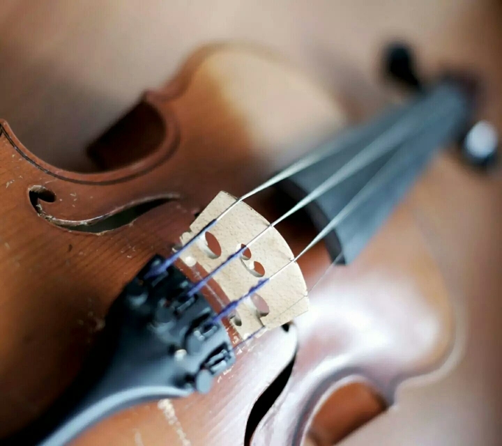 violin