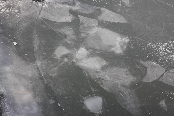 Ice