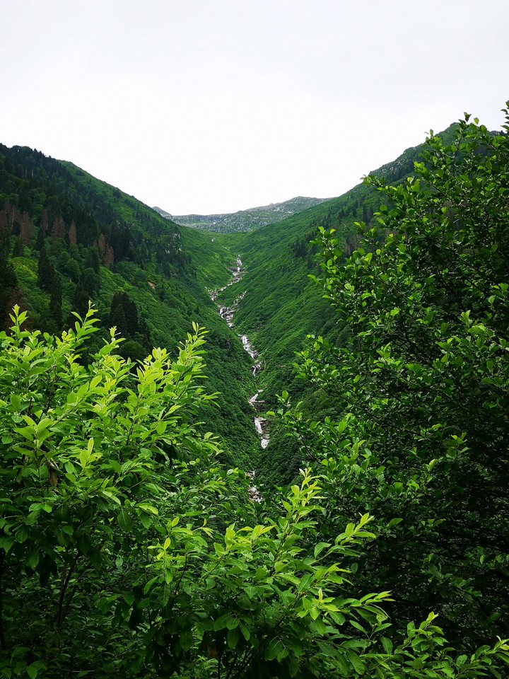 Ayder