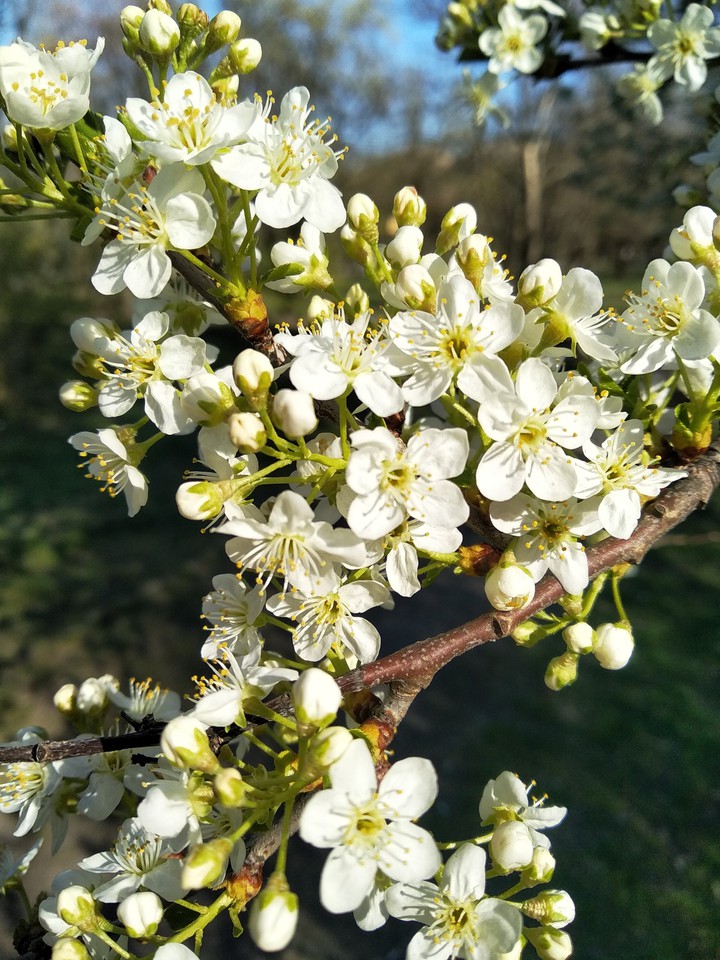April.