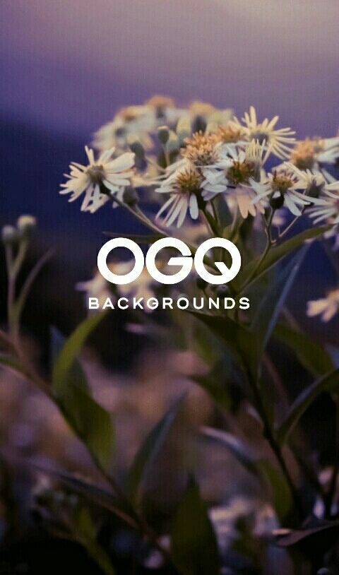 OGQ