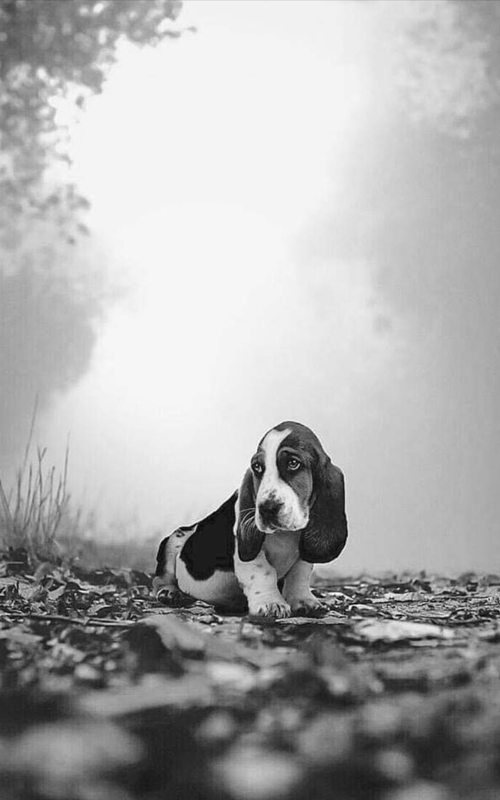 Jr