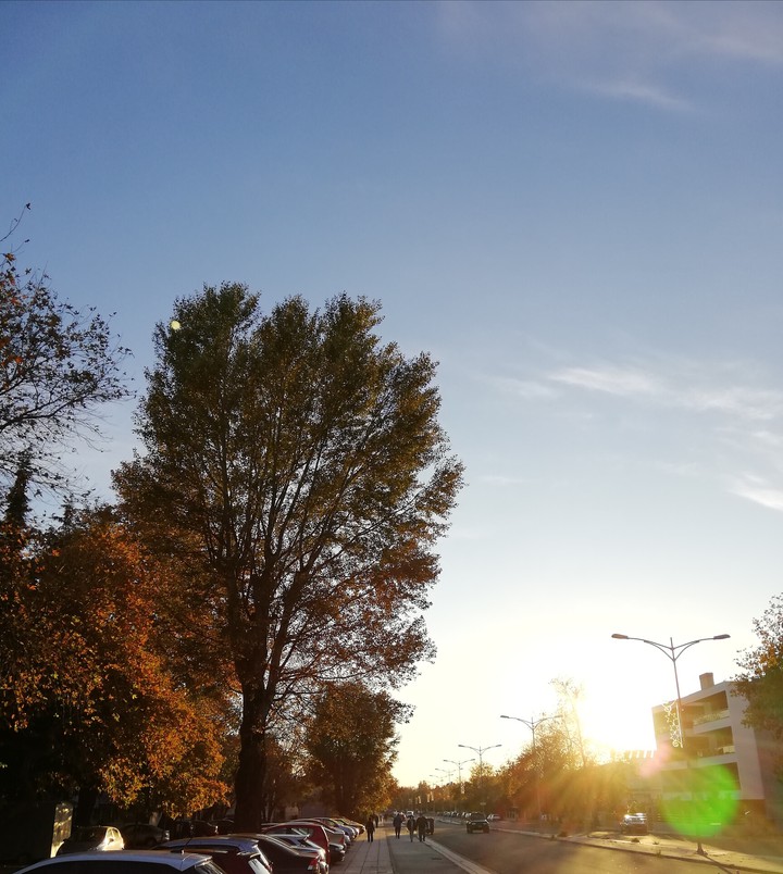 Winter Afternoon