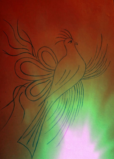 tapety sketch, wing