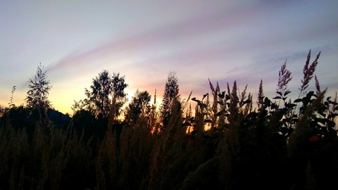 sunset•