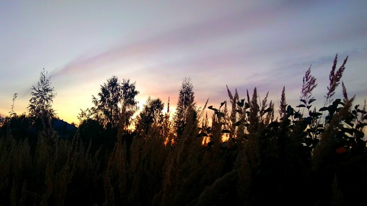 sunset•